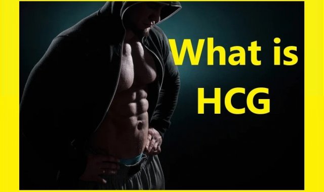 What is HCG?