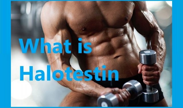 What is Halotestin?