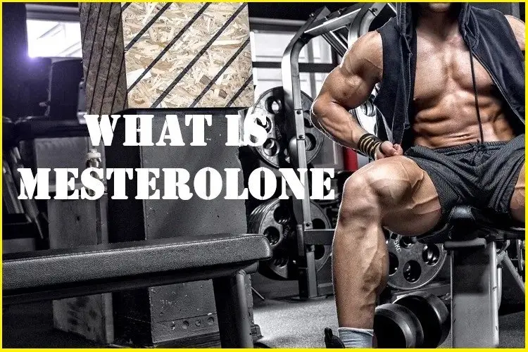 What is Mesterolone? What is Mesterolone?
