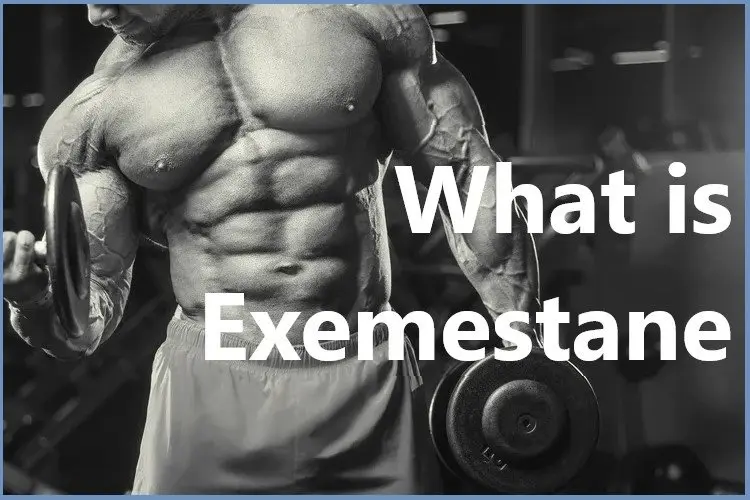 What is Exemestane? What is Exemestane?