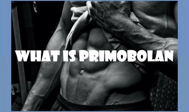 What is Primobolan?