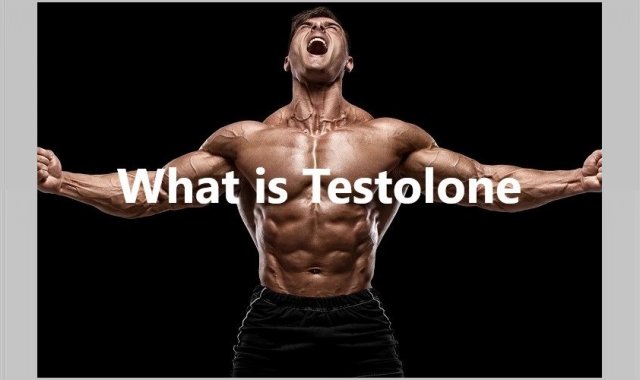 What is Testolone?