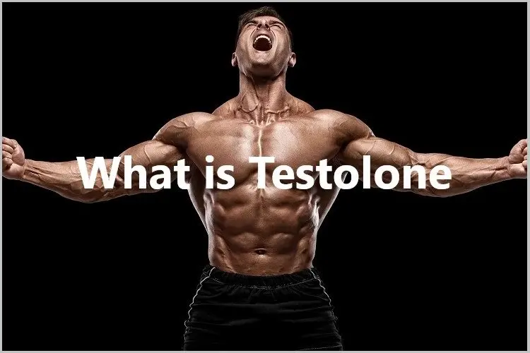 What is Testolone? What is Testolone?