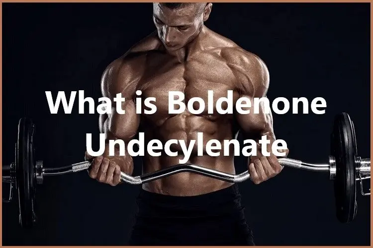 What is Boldenone Undecylenate? What is Boldenone Undecylenate?