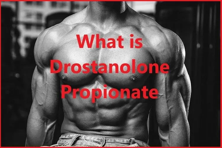 What is Drostanolone Propionate? What is Drostanolone Propionate?