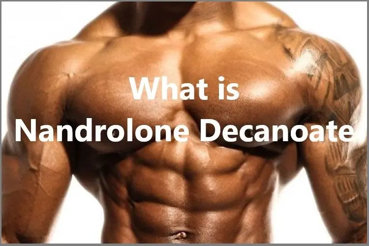 What is Nandrolone Decanoate? What is Nandrolone Decanoate?