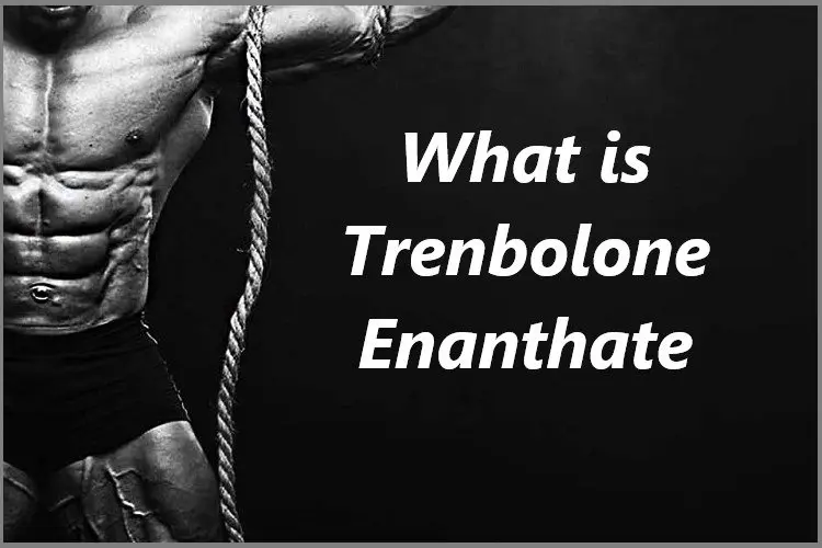 What is Trenbolone Enanthate? What is Trenbolone Enanthate?