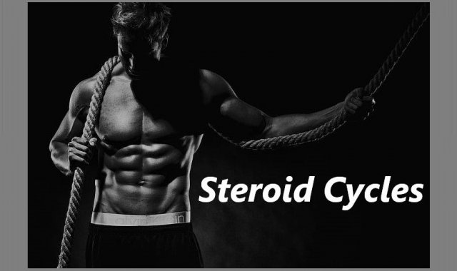 Steroid Cycles