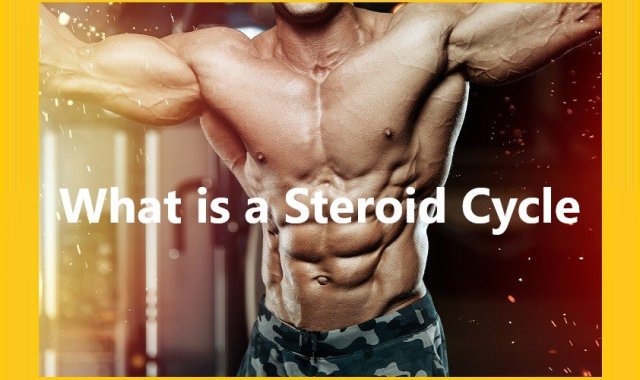 Steroids Cycles