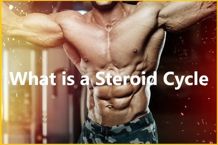 Steroids Cycles Steroids Cycles
