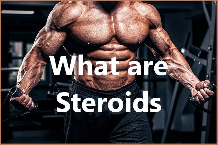 What are Steroids? What are Steroids?