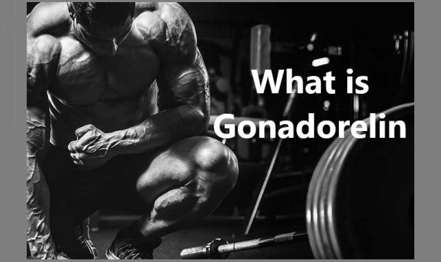 What is Gonadorelin?