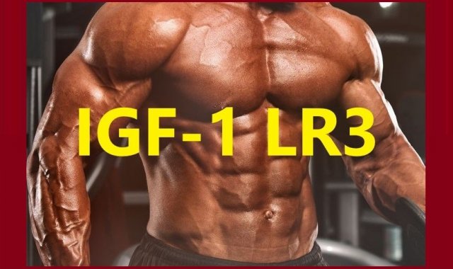 What is IGF-1 LR3?