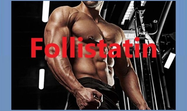 What is Follistatin 344?