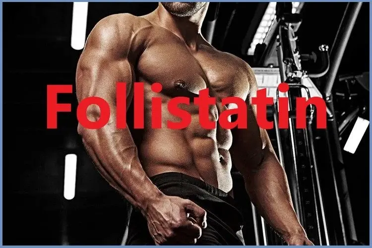 What is Follistatin 344? What is Follistatin 344?