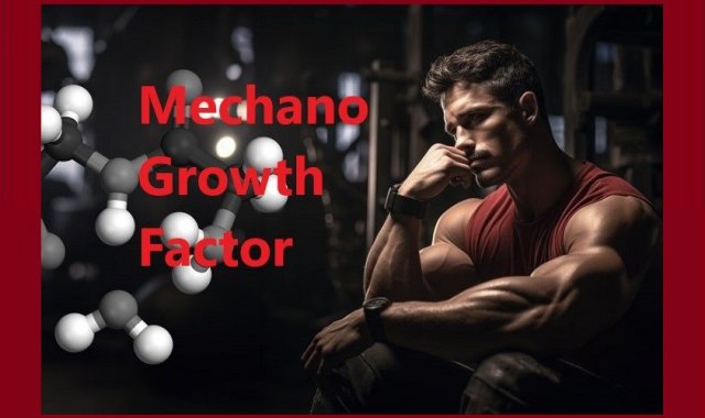 What is MGF (Mechano Growth Factor)?
