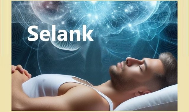 What is Selank?