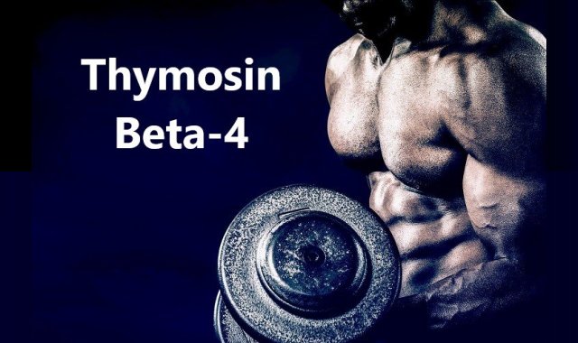 Thymosin Beta-4