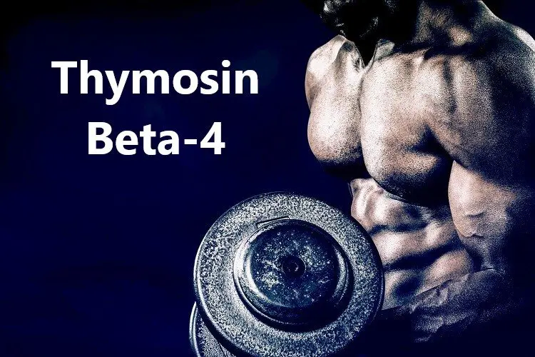 Thymosin Beta-4 Thymosin Beta-4