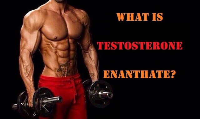 To Get Muscle and Testosterone Boost Buy Testosterone Enanthate Online