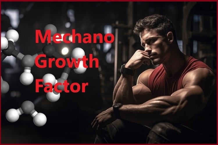 Mechano Growth Factor