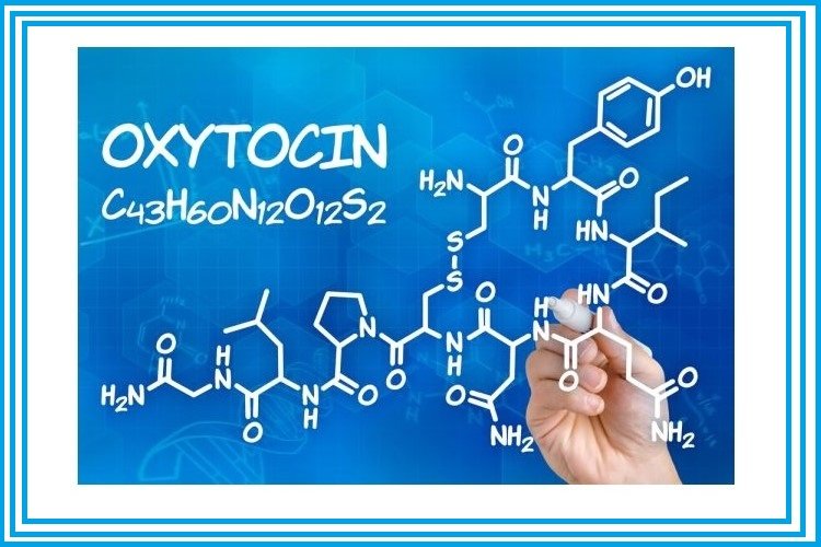 Oxytocin