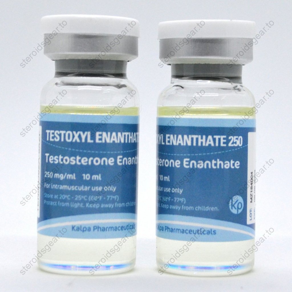 Buy Testoxyl Enanthate 250 for Sale (Testosterone E) > Kalpa Pharma