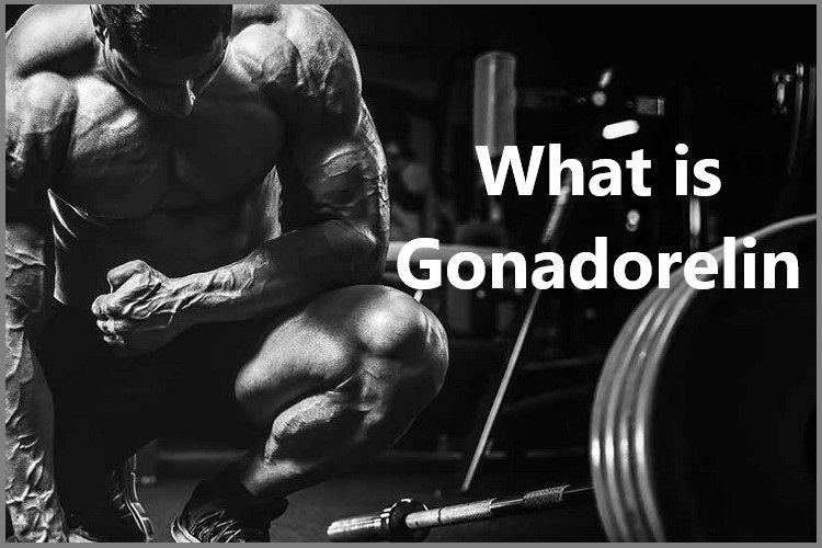 What is Gonadorelin