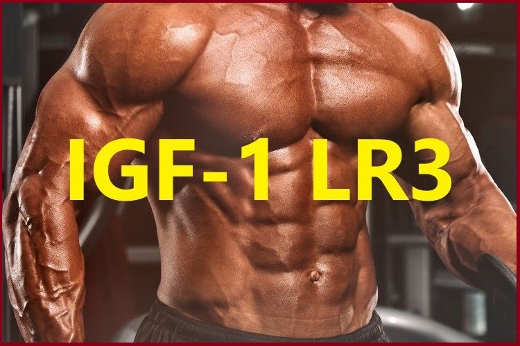 What is IGF-1 LR3
