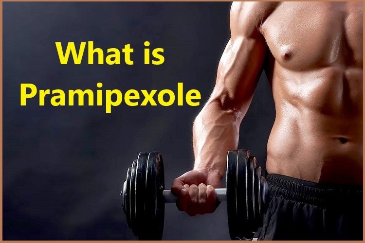 What is Pramipexole